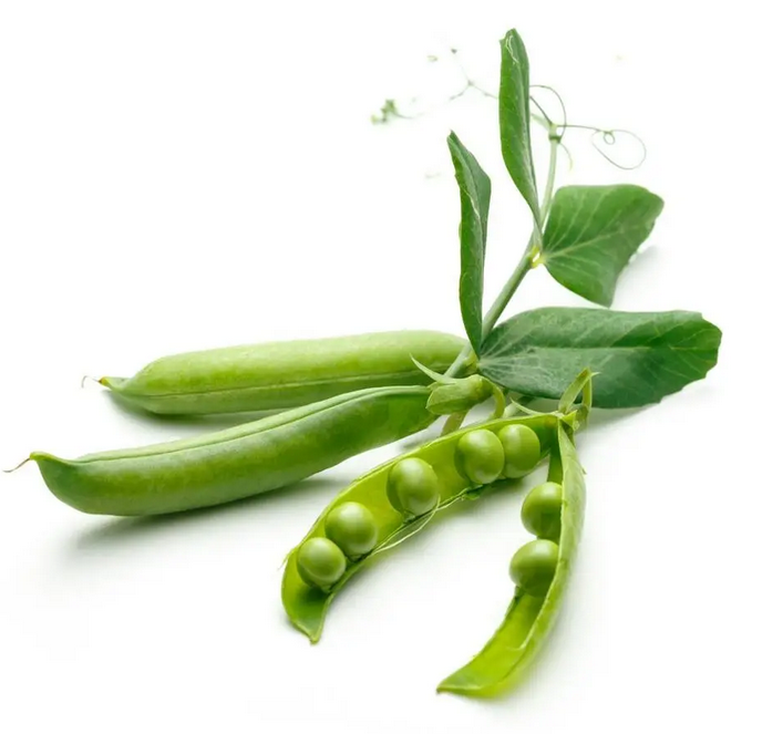豌豆荚